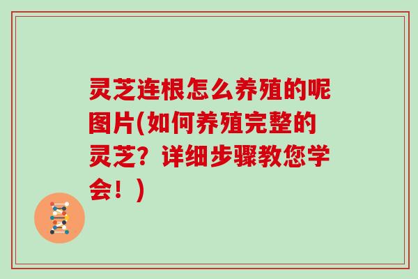 灵芝连根怎么养殖的呢图片(如何养殖完整的灵芝？详细步骤教您学会！)