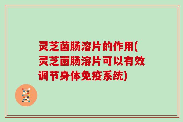 灵芝菌肠溶片的作用(灵芝菌肠溶片可以有效调节身体免疫系统) 灵芝菌肠溶片的作用(灵芝菌肠溶片可以有效调节身体免疫系统)