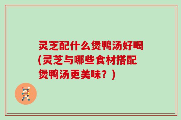 灵芝配什么煲鸭汤好喝(灵芝与哪些食材搭配煲鸭汤更美味？)