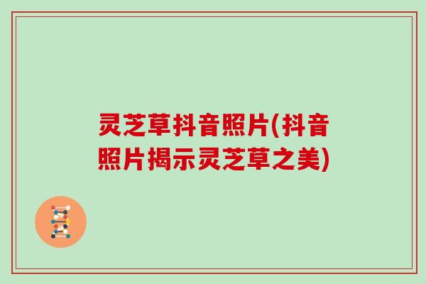 灵芝草抖音照片(抖音照片揭示灵芝草之美)