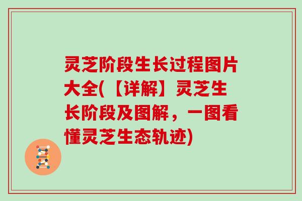 灵芝阶段生长过程图片大全(【详解】灵芝生长阶段及图解，一图看懂灵芝生态轨迹)