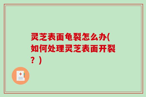 灵芝表面龟裂怎么办(如何处理灵芝表面开裂?) 灵芝表面龟裂怎么办(如何处理灵芝表面开裂?)