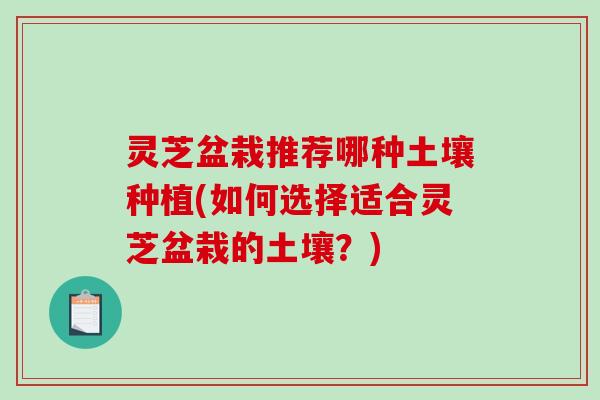 灵芝盆栽推荐哪种土壤种植(如何选择适合灵芝盆栽的土壤?) 灵芝盆栽推荐哪种土壤种植(如何选择适合灵芝盆栽的土壤?)