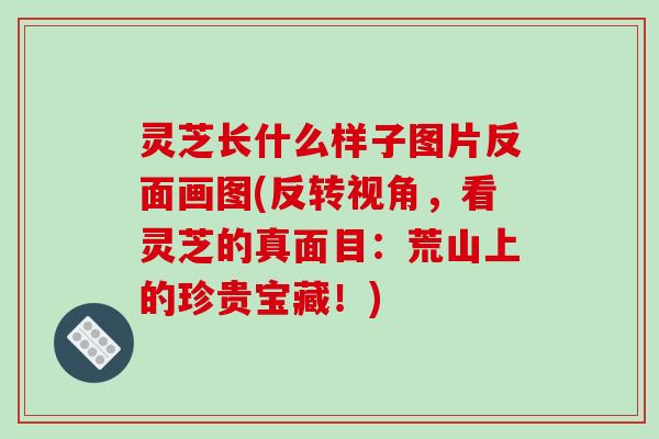 灵芝长什么样子图片反面画图(反转视角,看灵芝的真面目:荒山上的珍贵宝藏!) 灵芝长什么样子图片反面画图(反转视角,看灵芝的真面目:荒山上的珍贵宝藏!)