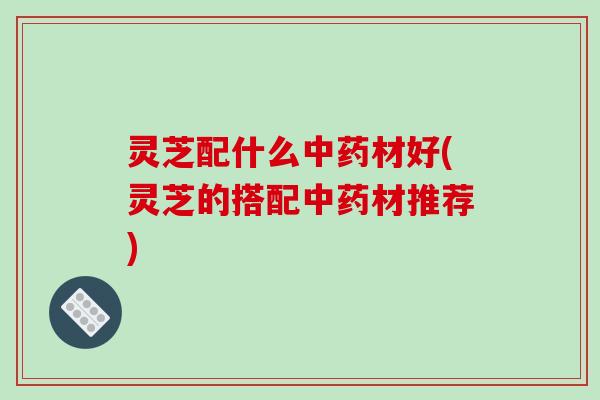 灵芝配什么材好(灵芝的搭配材推荐) 灵芝配什么材好(灵芝的搭配材推荐)