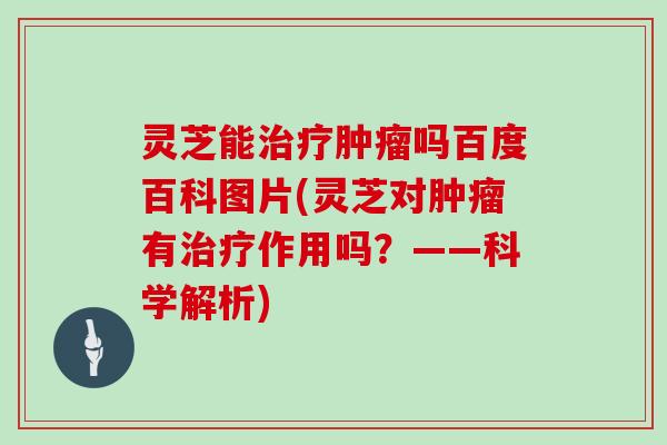 灵芝能吗百度百科图片(灵芝对有作用吗?——科学解析) 灵芝能吗百度百科图片(灵芝对有作用吗?——科学解析)