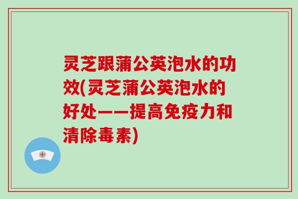 灵芝跟蒲公英泡水的功效(灵芝蒲公英泡水的好处——提高免疫力和清除毒素)