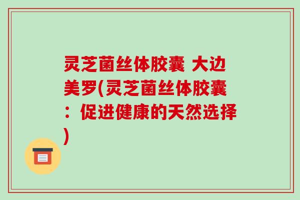 灵芝菌丝体胶囊 大边美罗(灵芝菌丝体胶囊：促进健康的天然选择)