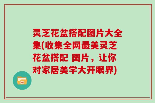 灵芝花盆搭配图片大全集(收集全网美灵芝花盆搭配 图片，让你对家居美学大开眼界)