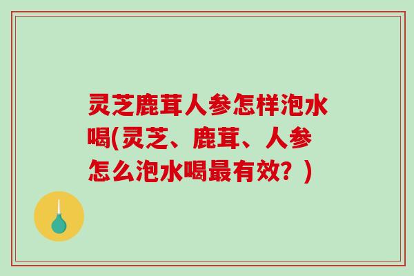 灵芝鹿茸人参怎样泡水喝(灵芝、鹿茸、人参怎么泡水喝有效?) 灵芝鹿茸人参怎样泡水喝(灵芝、鹿茸、人参怎么泡水喝有效?)