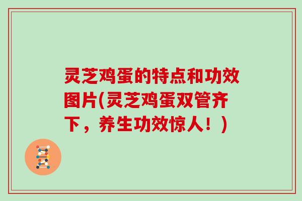 灵芝鸡蛋的特点和功效图片(灵芝鸡蛋双管齐下,养生功效惊人!) 灵芝鸡蛋的特点和功效图片(灵芝鸡蛋双管齐下,养生功效惊人!)