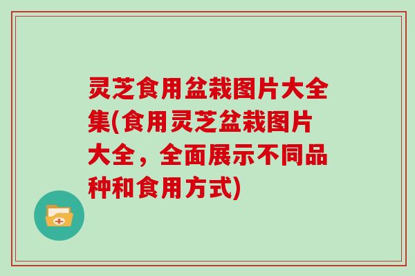 灵芝食用盆栽图片大全集(食用灵芝盆栽图片大全,全面展示不同品种和食用方式) 灵芝食用盆栽图片大全集(食用灵芝盆栽图片大全,全面展示不同品种和食用方式)