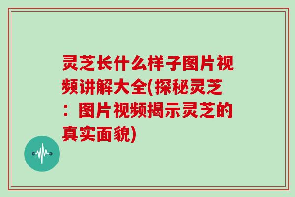 灵芝长什么样子图片视频讲解大全(探秘灵芝：图片视频揭示灵芝的真实面貌)