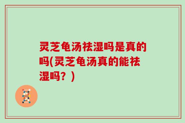 灵芝龟汤祛湿吗是真的吗(灵芝龟汤真的能祛湿吗?) 灵芝龟汤祛湿吗是真的吗(灵芝龟汤真的能祛湿吗?)