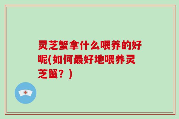 灵芝蟹拿什么喂养的好呢(如何好地喂养灵芝蟹？)