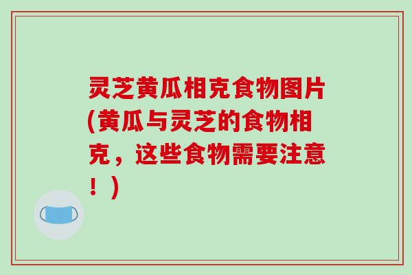 灵芝黄瓜相克食物图片(黄瓜与灵芝的食物相克,这些食物需要注意!) 灵芝黄瓜相克食物图片(黄瓜与灵芝的食物相克,这些食物需要注意!)
