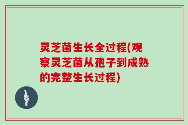灵芝菌生长全过程(观察灵芝菌从孢子到成熟的完整生长过程) 灵芝菌生长全过程(观察灵芝菌从孢子到成熟的完整生长过程)