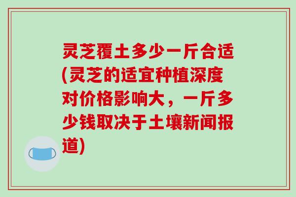 灵芝覆土多少一斤合适(灵芝的适宜种植深度对价格影响大,一斤多少钱取决于土壤新闻报道) 灵芝覆土多少一斤合适(灵芝的适宜种植深度对价格影响大,一斤多少钱取决于土壤新闻报道)