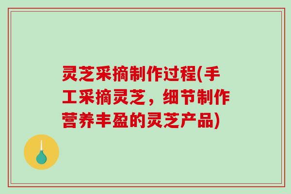 灵芝采摘制作过程(手工采摘灵芝,细节制作营养丰盈的灵芝产品) 灵芝采摘制作过程(手工采摘灵芝,细节制作营养丰盈的灵芝产品)