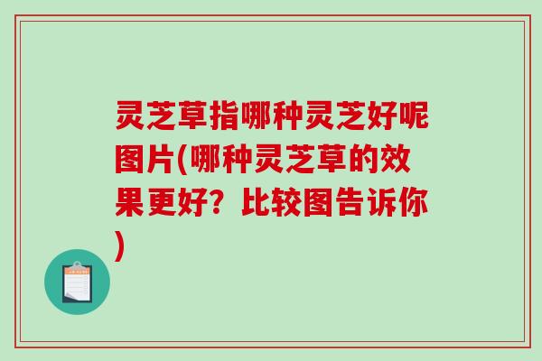 灵芝草指哪种灵芝好呢图片(哪种灵芝草的效果更好?比较图告诉你) 灵芝草指哪种灵芝好呢图片(哪种灵芝草的效果更好?比较图告诉你)