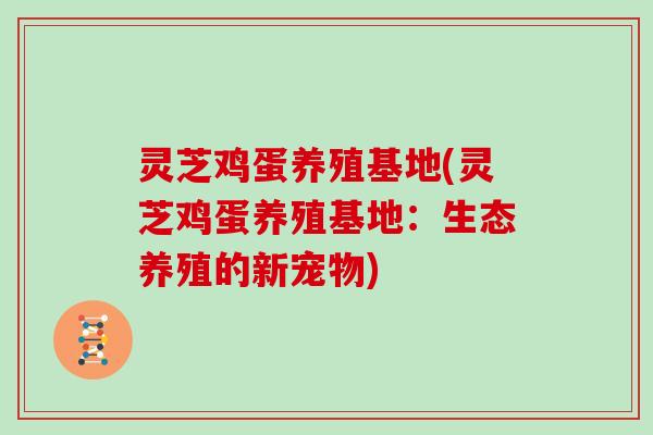 灵芝鸡蛋养殖基地(灵芝鸡蛋养殖基地:生态养殖的新宠物) 灵芝鸡蛋养殖基地(灵芝鸡蛋养殖基地:生态养殖的新宠物)
