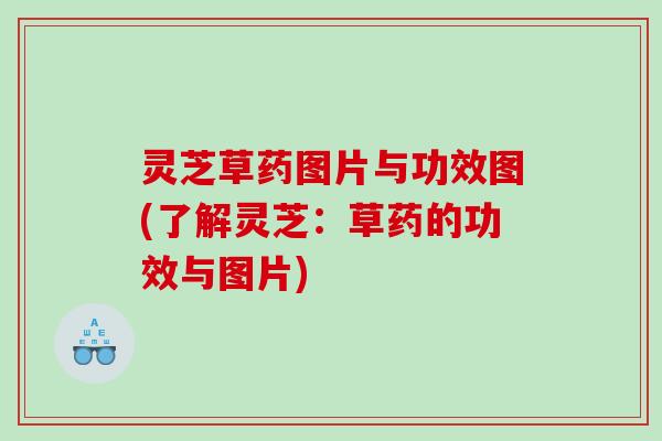 灵芝草药图片与功效图(了解灵芝:草药的功效与图片) 灵芝草药图片与功效图(了解灵芝:草药的功效与图片)
