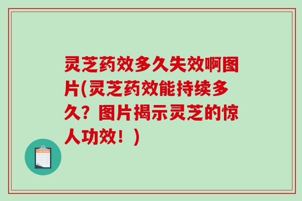 灵芝多久失效啊图片(灵芝能持续多久?图片揭示灵芝的惊人功效!) 灵芝多久失效啊图片(灵芝能持续多久?图片揭示灵芝的惊人功效!)