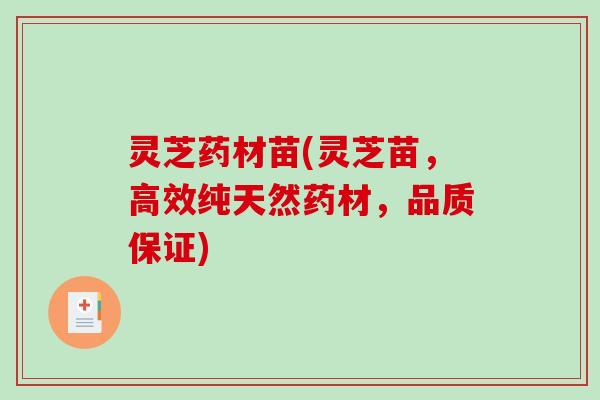 灵芝药材苗(灵芝苗,高效纯天然药材,品质保证) 灵芝药材苗(灵芝苗,高效纯天然药材,品质保证)