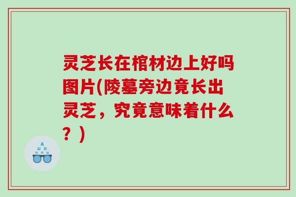 灵芝长在棺材边上好吗图片(陵墓旁边竟长出灵芝,究竟意味着什么?) 灵芝长在棺材边上好吗图片(陵墓旁边竟长出灵芝,究竟意味着什么?)
