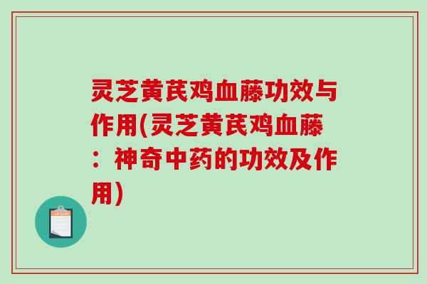 灵芝黄芪鸡藤功效与作用(灵芝黄芪鸡藤:神奇的功效及作用) 灵芝黄芪鸡藤功效与作用(灵芝黄芪鸡藤:神奇的功效及作用)