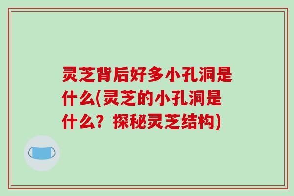 灵芝背后好多小孔洞是什么(灵芝的小孔洞是什么?探秘灵芝结构) 灵芝背后好多小孔洞是什么(灵芝的小孔洞是什么?探秘灵芝结构)