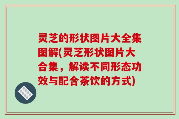 灵芝的形状图片大全集图解(灵芝形状图片大合集,解读不同形态功效与配合茶饮的方式) 灵芝的形状图片大全集图解(灵芝形状图片大合集,解读不同形态功效与配合茶饮的方式)