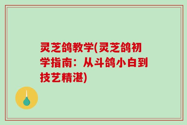灵芝鸽教学(灵芝鸽初学指南:从斗鸽小白到技艺精湛) 灵芝鸽教学(灵芝鸽初学指南:从斗鸽小白到技艺精湛)
