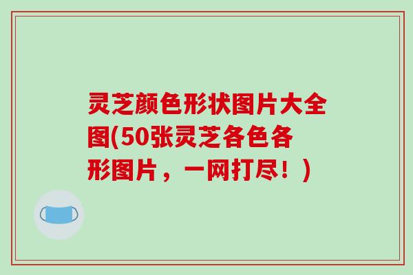 灵芝颜色形状图片大全图(50张灵芝各色各形图片,一网打尽!) 灵芝颜色形状图片大全图(50张灵芝各色各形图片,一网打尽!)