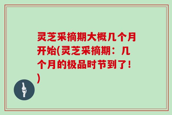 灵芝采摘期大概几个月开始(灵芝采摘期:几个月的极品时节到了!) 灵芝采摘期大概几个月开始(灵芝采摘期:几个月的极品时节到了!)