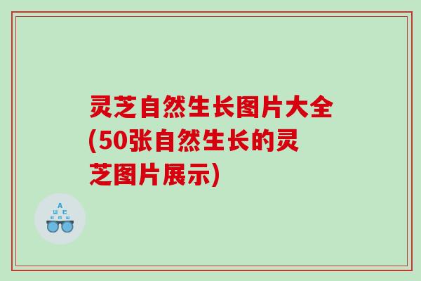 灵芝自然生长图片大全(50张自然生长的灵芝图片展示) 灵芝自然生长图片大全(50张自然生长的灵芝图片展示)