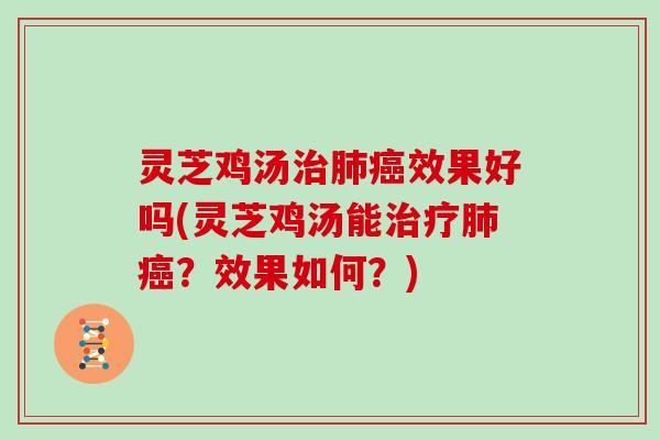 灵芝鸡汤效果好吗(灵芝鸡汤能?效果如何?) 灵芝鸡汤效果好吗(灵芝鸡汤能?效果如何?)
