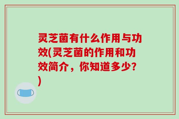 灵芝菌有什么作用与功效(灵芝菌的作用和功效简介,你知道多少?) 灵芝菌有什么作用与功效(灵芝菌的作用和功效简介,你知道多少?)