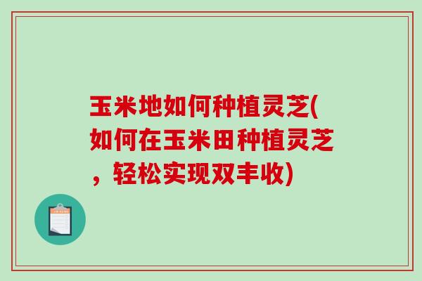 玉米地如何种植灵芝(如何在玉米田种植灵芝,轻松实现双丰收) 玉米地如何种植灵芝(如何在玉米田种植灵芝,轻松实现双丰收)