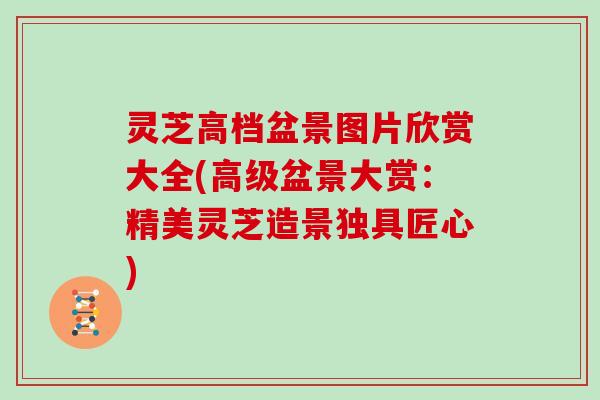 灵芝高档盆景图片欣赏大全(高级盆景大赏:精美灵芝造景独具匠心) 灵芝高档盆景图片欣赏大全(高级盆景大赏:精美灵芝造景独具匠心)