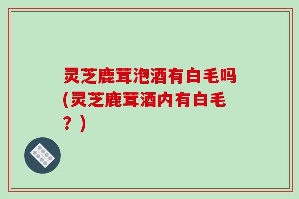 灵芝鹿茸泡酒有白毛吗(灵芝鹿茸酒内有白毛?) 灵芝鹿茸泡酒有白毛吗(灵芝鹿茸酒内有白毛?)
