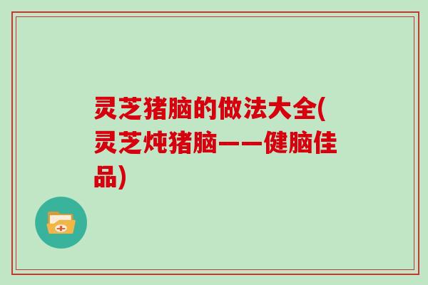 灵芝猪脑的做法大全(灵芝炖猪脑——健脑佳品) 灵芝猪脑的做法大全(灵芝炖猪脑——健脑佳品)