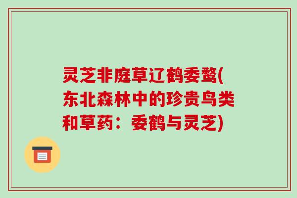 灵芝非庭草辽鹤委鹜(东北森林中的珍贵鸟类和草药：委鹤与灵芝)