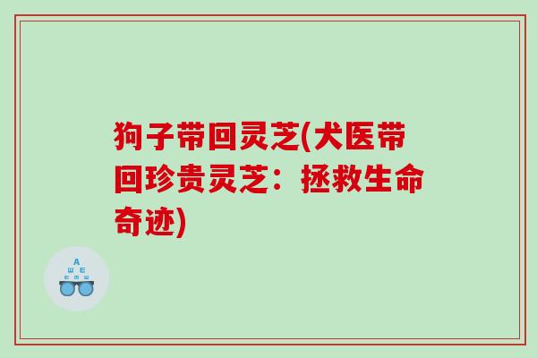 狗子带回灵芝(犬医带回珍贵灵芝:拯救生命奇迹) 狗子带回灵芝(犬医带回珍贵灵芝:拯救生命奇迹)