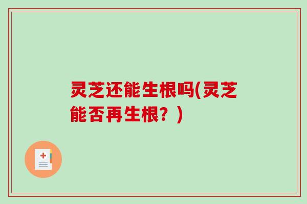 灵芝还能生根吗(灵芝能否再生根?) 灵芝还能生根吗(灵芝能否再生根?)