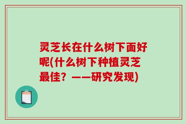 灵芝长在什么树下面好呢(什么树下种植灵芝佳？——研究发现)