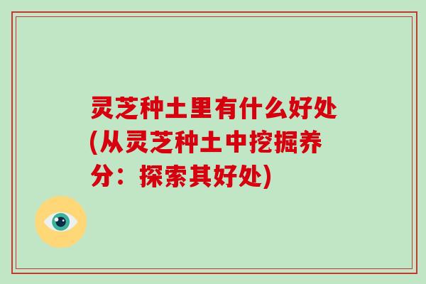 灵芝种土里有什么好处(从灵芝种土中挖掘养分:探索其好处) 灵芝种土里有什么好处(从灵芝种土中挖掘养分:探索其好处)