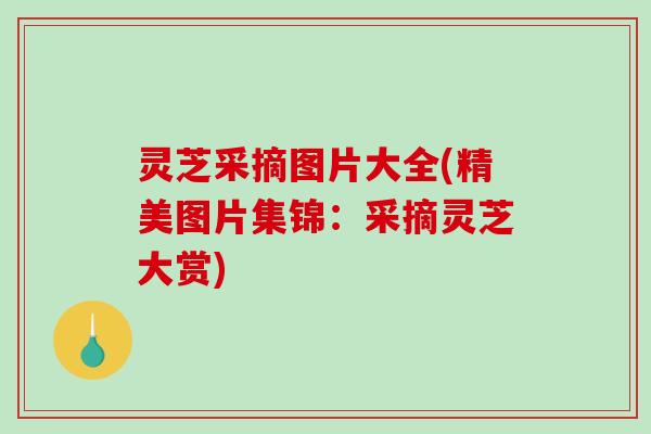灵芝采摘图片大全(精美图片集锦：采摘灵芝大赏)