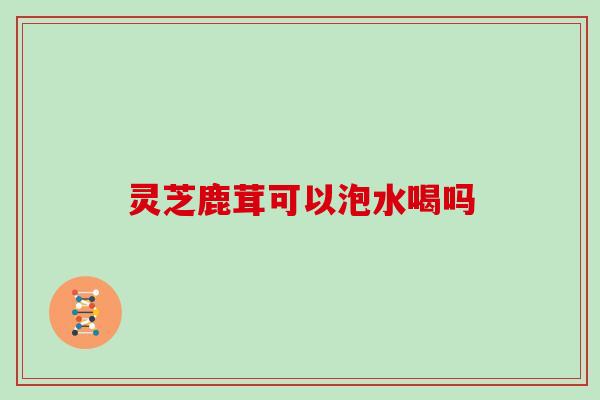 灵芝鹿茸可以泡水喝吗 灵芝鹿茸可以泡水喝吗