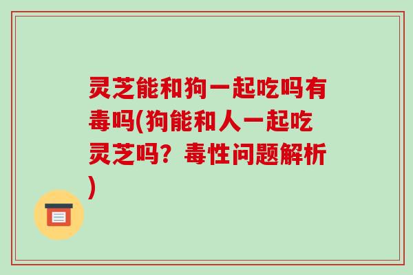 灵芝能和狗一起吃吗有毒吗(狗能和人一起吃灵芝吗?毒性问题解析) 灵芝能和狗一起吃吗有毒吗(狗能和人一起吃灵芝吗?毒性问题解析)
